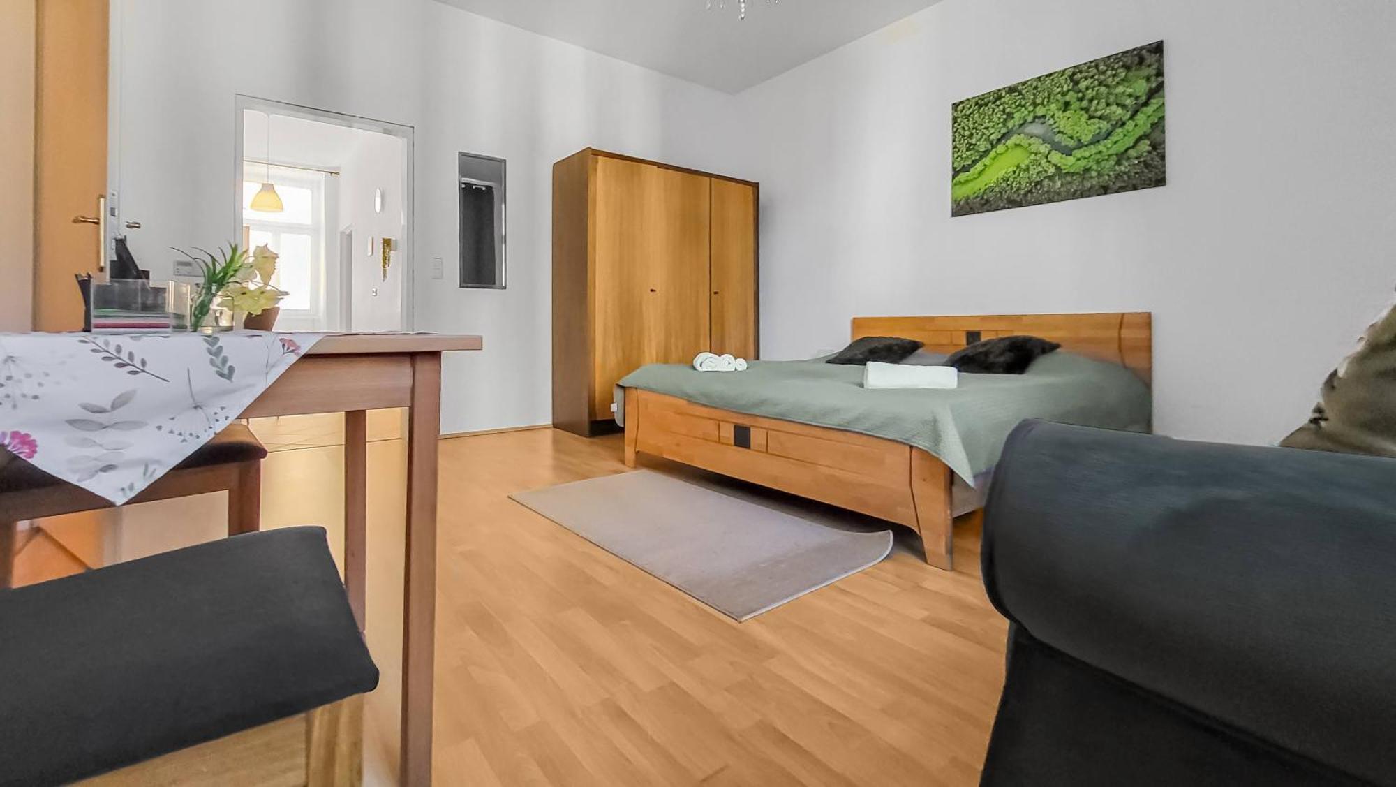 Davidov Stays Danube Wenen Kamer foto